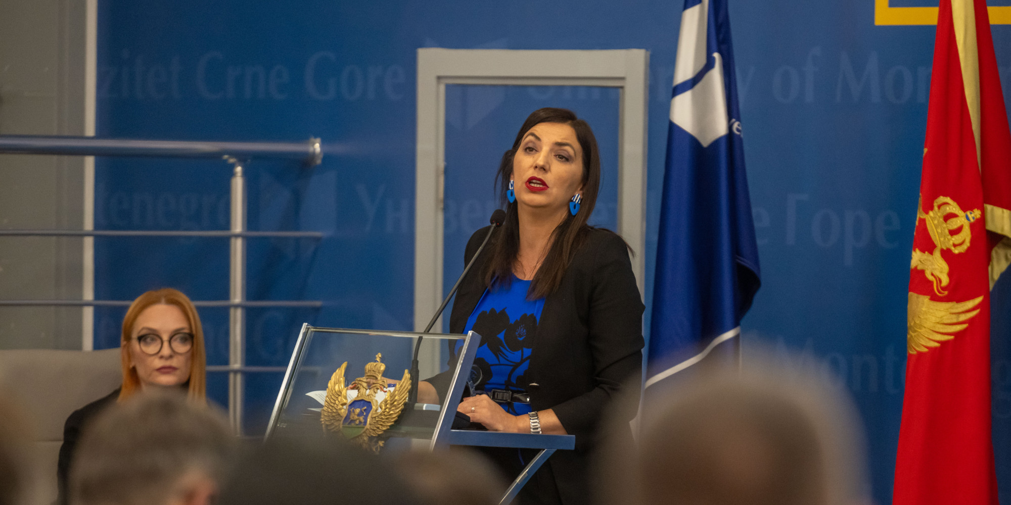 Univerzitet Crne Gore