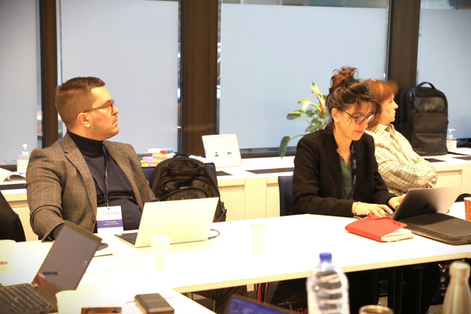 Univerzitet Crne Gore