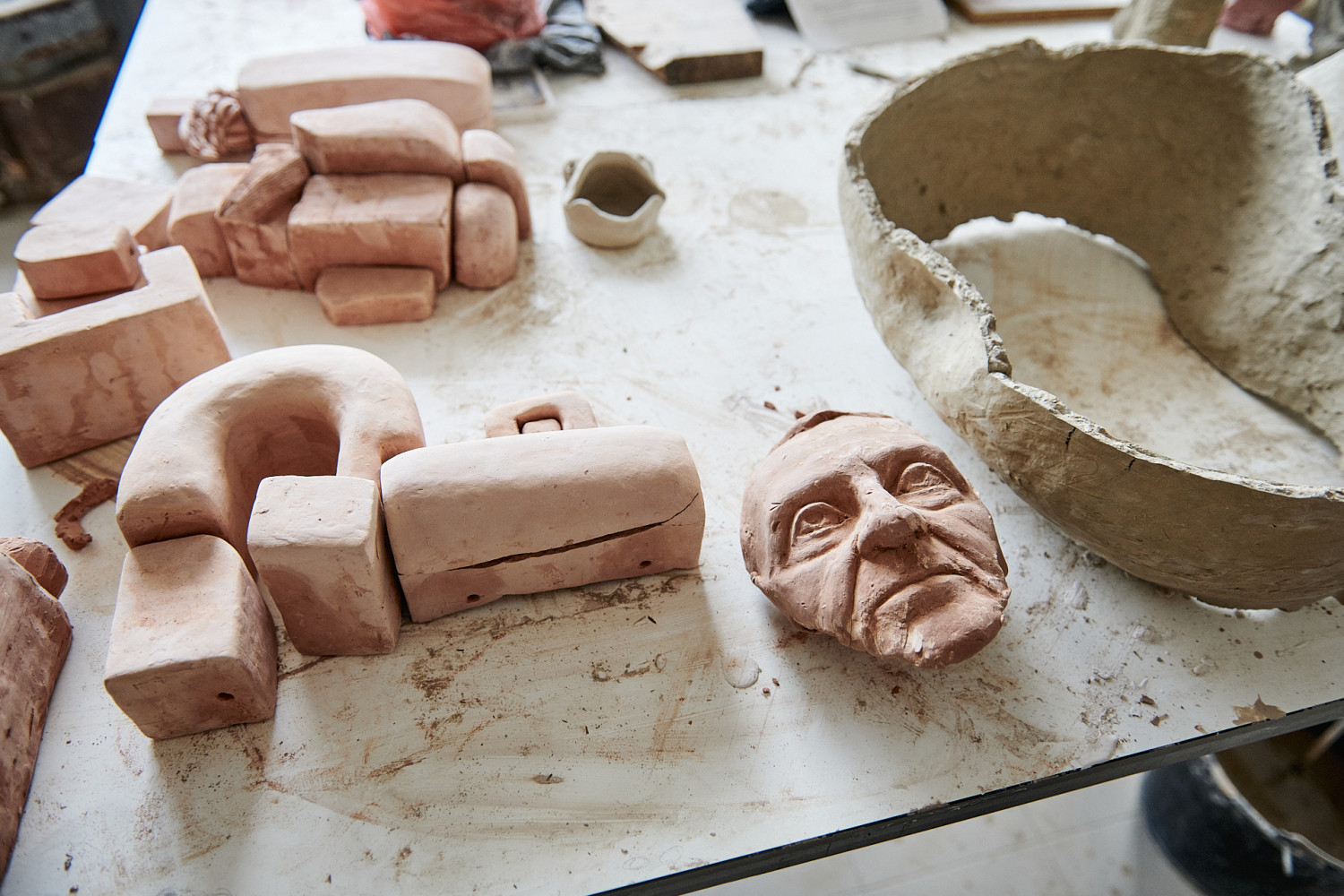 Univerzitet Crne Gore