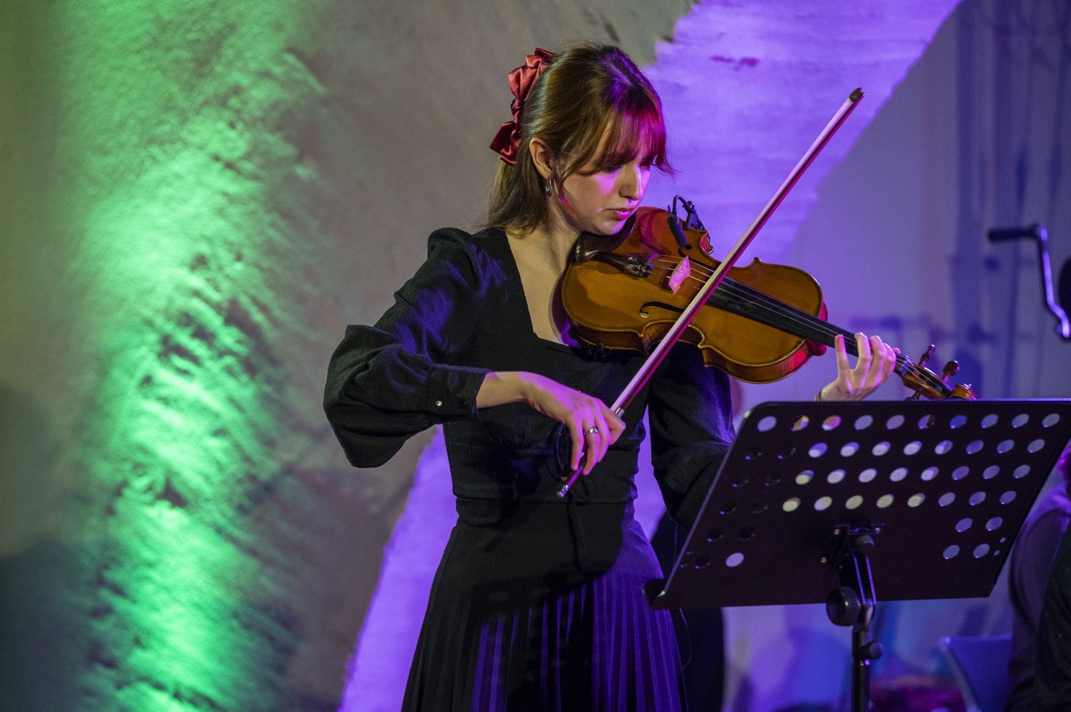 Univerzitet Crne Gore