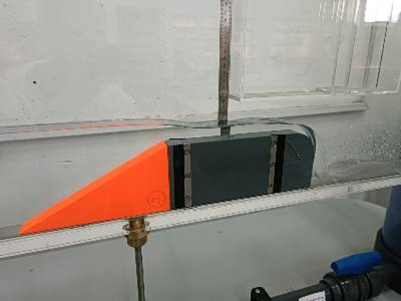 Univerzitet Crne Gore