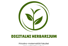 Digitalni herbarijum