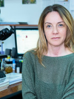 dr sci med Ljiljana Vučković