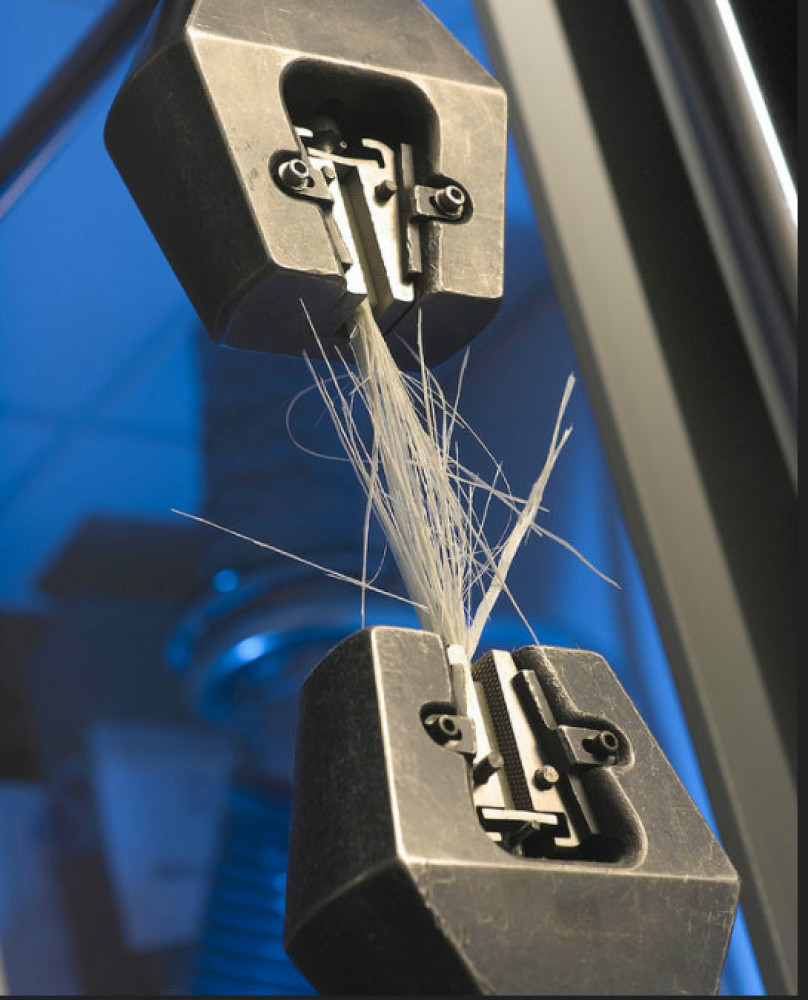 Univerzitet Crne Gore