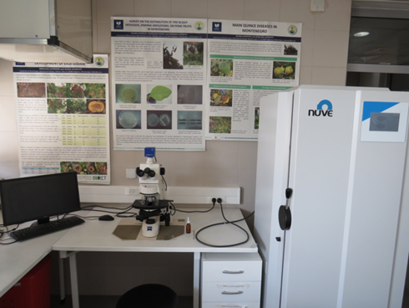 Univerzitet Crne Gore