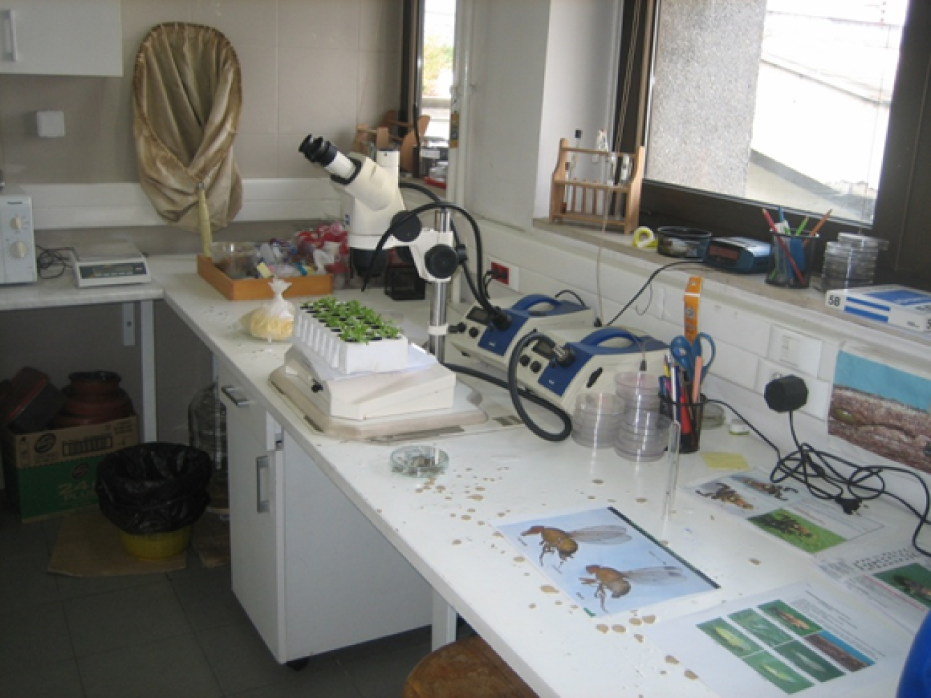 Univerzitet Crne Gore