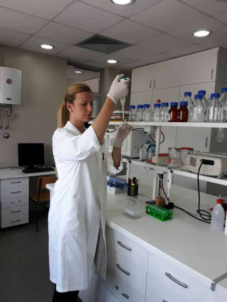 Univerzitet Crne Gore