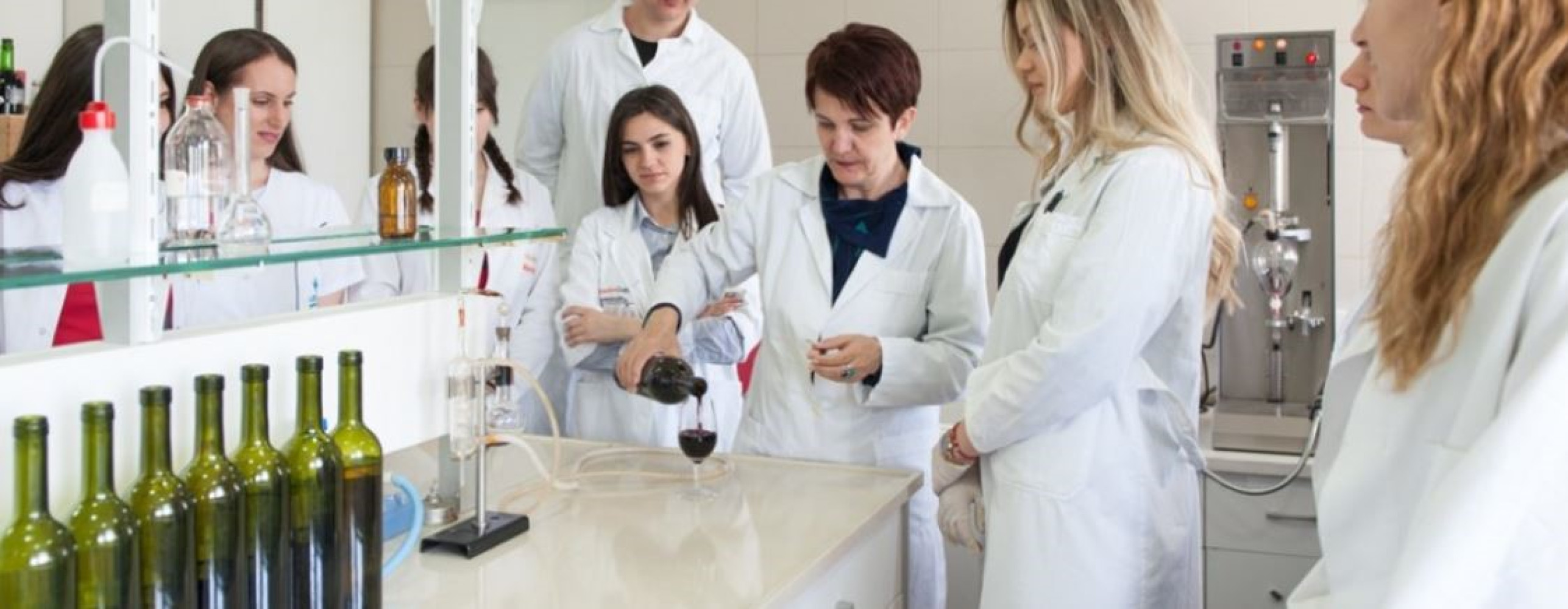 Univerzitet Crne Gore