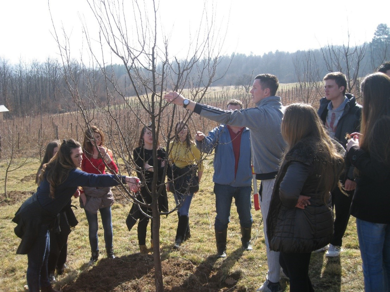 Univerzitet Crne Gore