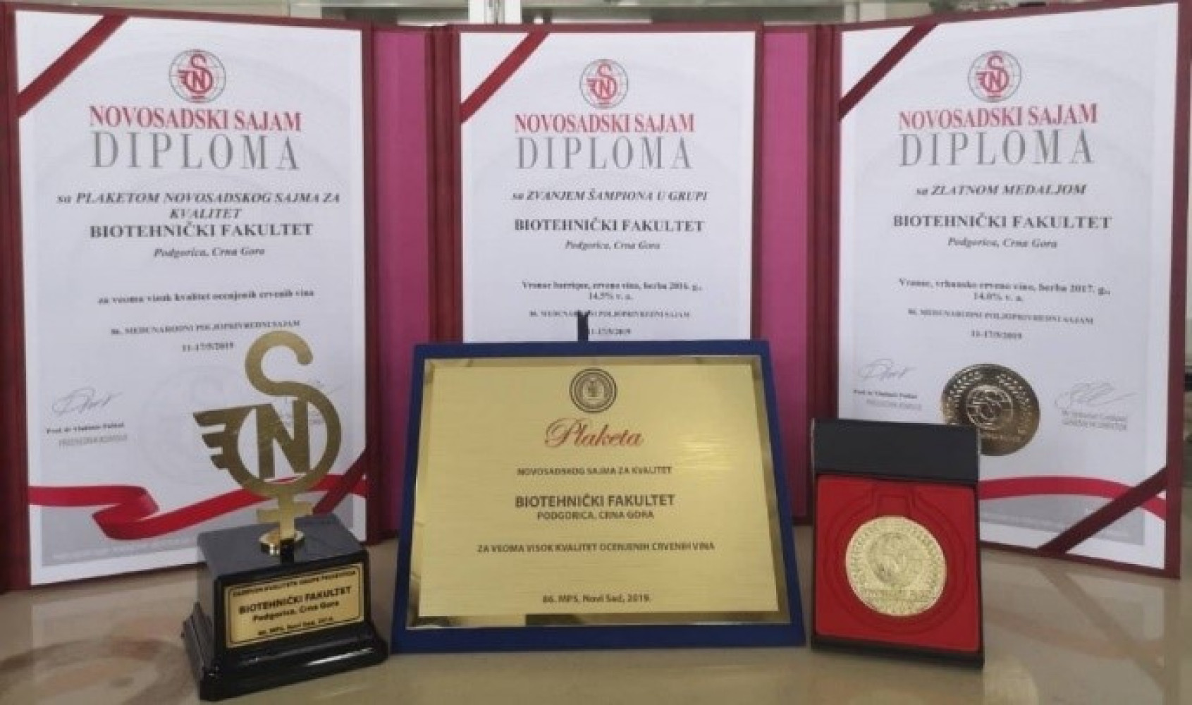 Univerzitet Crne Gore