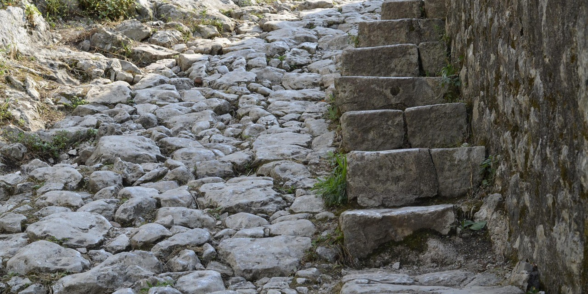 Univerzitet Crne Gore